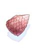 Rgan Shell artwork from Ragnarok Online
