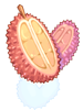 Red Prickly Fruit artwork from Ragnarok Online