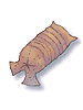 Earthworm Peeling artwork from Ragnarok Online