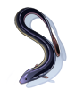 Eel artwork from Ragnarok Online