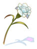 Aromatic Flower artwork from Ragnarok Online
