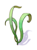 Singing Plant artwork from Ragnarok Online