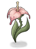 Wild Flower artwork from Ragnarok Online