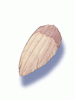 Claw of Monkey artwork from Ragnarok Online
