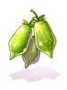 Catnip Fruit artwork from Ragnarok Online