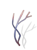 Sinew of Bear artwork from Ragnarok Online