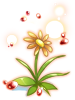 Illusion Fancy Flower artwork from Ragnarok Online