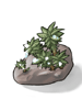 Dew Laden Moss artwork from Ragnarok Online