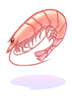 Shrimp artwork from Ragnarok Online