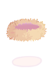 Costume Bird Nest artwork from Ragnarok Online
