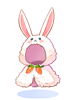 Costume Fluffy Rabbit Cape artwork from Ragnarok Online
