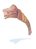 Decomposed Rope artwork from Ragnarok Online