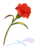 Physical Flower 2Lv artwork from Ragnarok Online