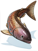 Salmon artwork from Ragnarok Online