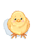 Chick Hat artwork from Ragnarok Online