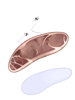 Rotten Meat artwork from Ragnarok Online