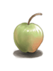 Unripe Apple artwork from Ragnarok Online