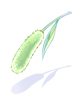 Green Foxtail artwork from Ragnarok Online