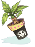 Mandragora Flowerpot artwork from Ragnarok Online