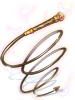 Heart Whip artwork from Ragnarok Online