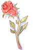 Witherless Rose artwork from Ragnarok Online