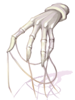 Evil Spirit Gloves artwork from Ragnarok Online