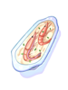 Chile Shrimp Gratin artwork from Ragnarok Online