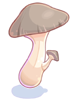 Edible Mushroom artwork from Ragnarok Online