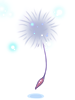 Mysterious Seed artwork from Ragnarok Online
