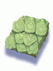 Anolian Skin artwork from Ragnarok Online