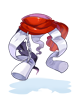 Costume Disguise Cloth artwork from Ragnarok Online