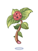 Poison Herb Rantana artwork from Ragnarok Online