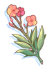 Poison Herb Nerium artwork from Ragnarok Online