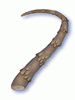 Tough Scalelike Stem artwork from Ragnarok Online
