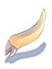 Zenorc's Fang artwork from Ragnarok Online
