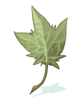 Huge Leaf artwork from Ragnarok Online
