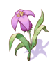 Hinalle artwork from Ragnarok Online