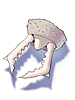 Ant Jaw artwork from Ragnarok Online