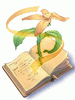 Book of Mother Earth artwork from Ragnarok Online