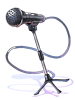 Costume Standing Mic artwork from Ragnarok Online