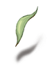 Romantic Leaf artwork from Ragnarok Online