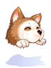 Costume Husky Hat artwork from Ragnarok Online