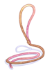 String artwork from Ragnarok Online