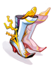 Variant Shoes artwork from Ragnarok Online