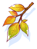 Maple Leaves artwork from Ragnarok Online
