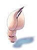 Scorpion Nipper artwork from Ragnarok Online