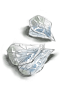 Novice Fly Wing artwork from Ragnarok Online
