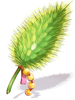 Exquisite Foxtail Model artwork from Ragnarok Online