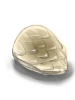 Scale Shell artwork from Ragnarok Online