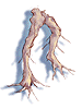 Maneater Root artwork from Ragnarok Online